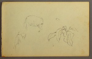Dibujo, Vaca rascándose la cabeza, planta de hojas, posiblemente 1844