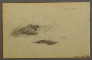 Dibujo, Abedul carcomido, 1844 de Frederic Edwin Church