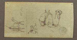 Dibujo, Figura y estudios sobre camellos, 22 de febrero de 1868
