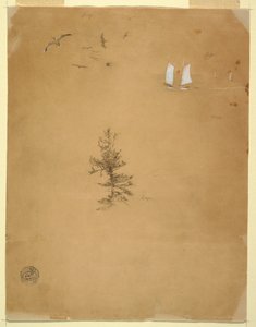 Dibujo, Gaviotas, Veleros, Árbol, agosto y septiembre de 1859 de Frederic Edwin Church