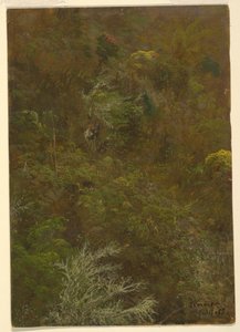 Dibujo, Ladera cubierta de arbustos amp; árboles, julio de 1865 de Frederic Edwin Church