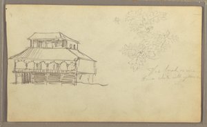 Dibujo, Casa, Bosquejo botánico, Ecuador o Colombia, 1857 de Frederic Edwin Church
