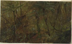 Dibujo, En los bosques de Jamacia, Antillas, 1865 de Frederic Edwin Church