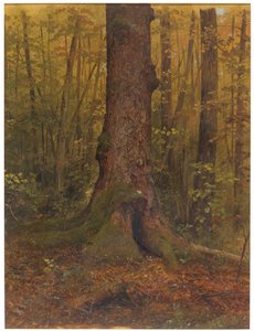 Dibujo, En el bosque, probablemente Maine, 1850-60 de Frederic Edwin Church