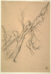 Dibujo, campamento indio, Grand Manan, Bahía de Fundy, septiembre de 1851 de Frederic Edwin Church