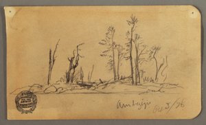 Dibujo, Isla, 1878 de Frederic Edwin Church