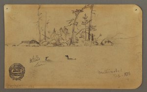 Dibujo, Isla, Dos colimbos, 1878 de Frederic Edwin Church