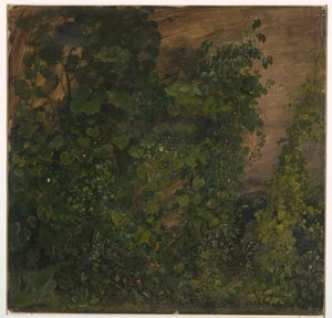 Vegetación de la jungla, 1865 de Frederic Edwin Church