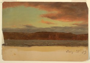 Dibujo, Laborador o costa de Terranova, julio de 1859