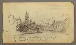 Dibujo, Lago rodeado de árboles, posiblemente 1878 de Frederic Edwin Church