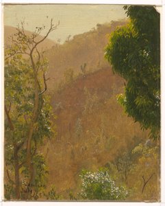 Dibujo, Paisaje, julio de 1865 de Frederic Edwin Church