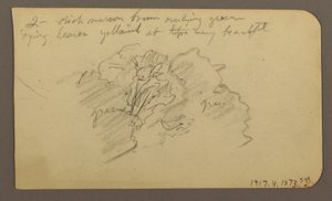 Dibujo, Paisaje, casas; Verso: Copa de árbol, febrero de 1885 de Frederic Edwin Church