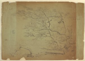 Dibujo, Paisaje con árboles y un arroyo [], Isla de Grand Manan, Canadá, septiembre de 1851 de Frederic Edwin Church