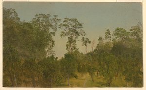 Dibujo, Paisajes, julio de 1865 de Frederic Edwin Church