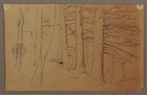 Dibujo, Partes inferiores de un grupo de árboles que crecen en una ladera, 1862 de Frederic Edwin Church