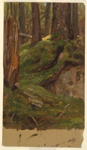 Dibujo, bosque de Maine, 1855-65 de Frederic Edwin Church