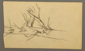Dibujo, Sección media de un tronco de árbol muerto, 1877 de Frederic Edwin Church