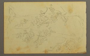 Dibujo, Molino rodeado de árboles, 1845