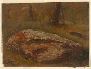 Dibujo, Mossy Rock, agosto de 1845