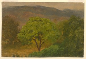 Dibujo, Paisaje de montaña, agosto de 1865 de Frederic Edwin Church