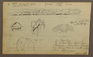 Dibujo, Cordillera "entrando en Guayaquil"; Verso: Orilla del río, Bocetos botánicos, posiblemente 1857. de Frederic Edwin Church