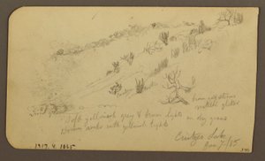 Dibujo, Montaña, Zapotlán; Verso: Ladera arbolada, Lago de Cuitzeo, enero de 1885. de Frederic Edwin Church