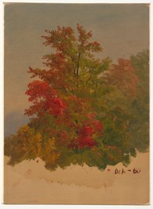 Dibujo, Mt. Desert Island , Maine, octubre de 1860 de Frederic Edwin Church