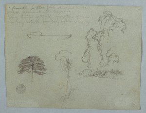 Dibujo, Estudios de la naturaleza del Río Magdalena, Colombia:  Árboles, enredaderas y una canoa, mayo de 1853 de Frederic Edwin Church