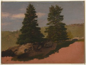 Dibujo, Paisaje de Nueva Inglaterra (Dos pinos), 1850 de Frederic Edwin Church