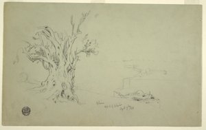 Dibujo, Olivo, Monte de los Olivos, Apri 1868 de Frederic Edwin Church
