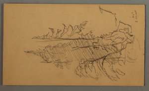 Dibujo, Pinos, posiblemente 1868 de Frederic Edwin Church