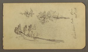 Dibujo, Estudios sobre el pino, 1878 de Frederic Edwin Church