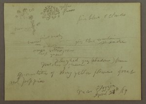 Dibujo, Estudio de plantas y paisajes, 28 de abril de 1869