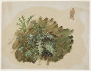 Dibujo, Estudios de plantas, 1865 de Frederic Edwin Church