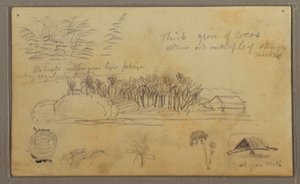 Dibujo, Bocetos, Ecuador o Colombia; Verso: Bocetos, Ecuador o Colombia, 1857 de Frederic Edwin Church