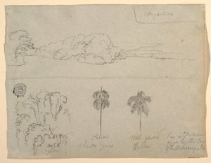 Dibujo, Bocetos de Colombia:  Orilla de un río o bahía, y Árboles., 1853 de Frederic Edwin Church
