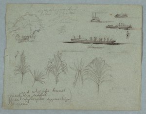 Dibujo, Bocetos del Río Magdalena, Colombia:  Plantas, Vapor y un Champan, 1853, probablemente Mayo
