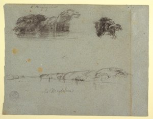 Dibujo, Bocetos de árboles, enredaderas y una orilla del Río Magdalena, Colombia, 1853, probablemente mayo de Frederic Edwin Church