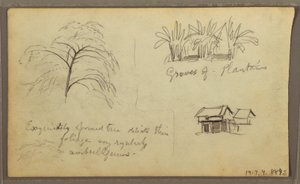 Dibujo, Esquina de calle en Guaquil, Ecuador; Verso: Bocetos botánicos, casa, Ecuador o Colombia, 1857 de Frederic Edwin Church