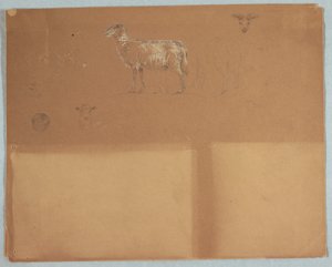 Dibujo, Estudios de ovejas, Ecuador o Colombia, 1853 de Frederic Edwin Church