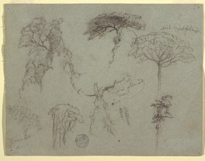 Dibujo, Estudios de árboles, Ecuador, 1853 de Frederic Edwin Church