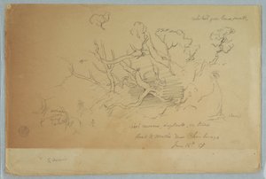 Dibujo, Estudios de árboles y rocas, Camino al Mocho cerca del Chimborazo, Ecuador, 16 de junio de 1857 de Frederic Edwin Church