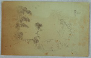 Dibujo, Estudios de árboles con detalles de bambú y un pequeño detalle de un hombre que lleva plátanos en la cabeza, Bellevue, Jamaica, agosto de 1865. de Frederic Edwin Church