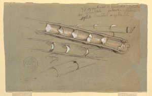 Dibujo, Estudio del bambú, junio de 1857 de Frederic Edwin Church