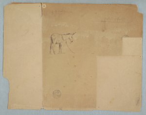 Dibujo, Asno atado y un estilo de cerca, Sudamérica, 1853