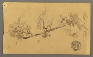 Dibujo, Árbol, 1877 de Frederic Edwin Church