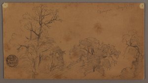 Dibujo, Tree Tops, Niágara, 27 de agosto de 1856