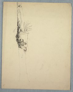 Dibujo, Tronco de árbol con plantas parásitas, Jamaica, mayo-agosto de 1865 de Frederic Edwin Church