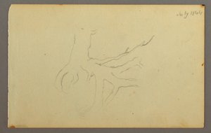 Dibujo, Raíces de árbol, 1844