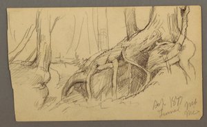 Dibujo, Raíces de árbol creciendo sobre un peñasco (Turner Mountain), 1877 de Frederic Edwin Church